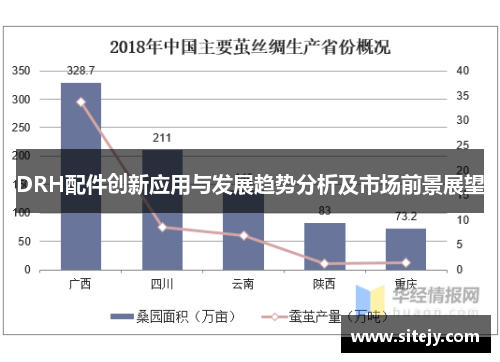 DRH配件创新应用与发展趋势分析及市场前景展望